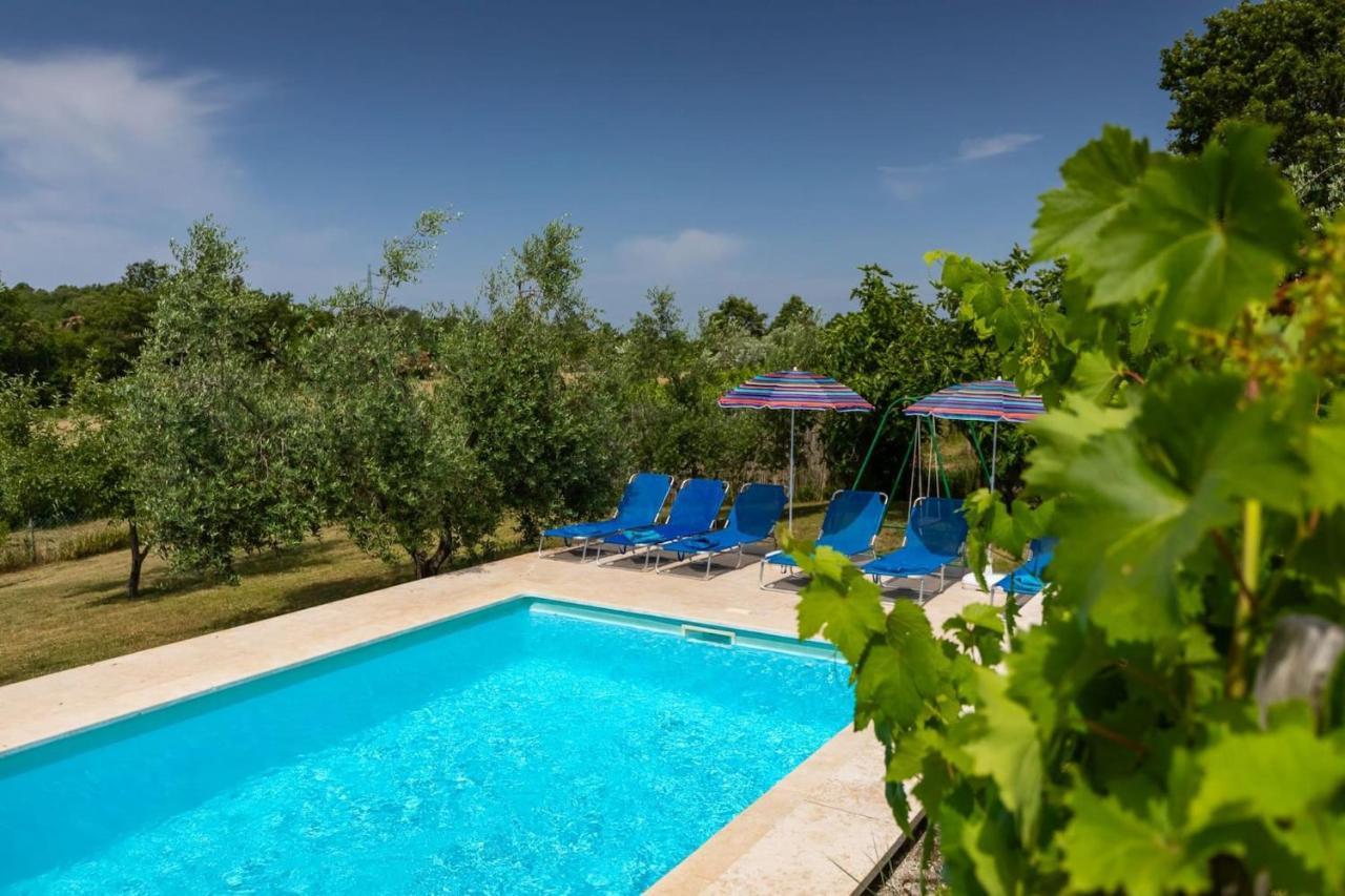 Villa Greis With 4 Bedrooms And Pool In Buje Momjan ภายนอก รูปภาพ